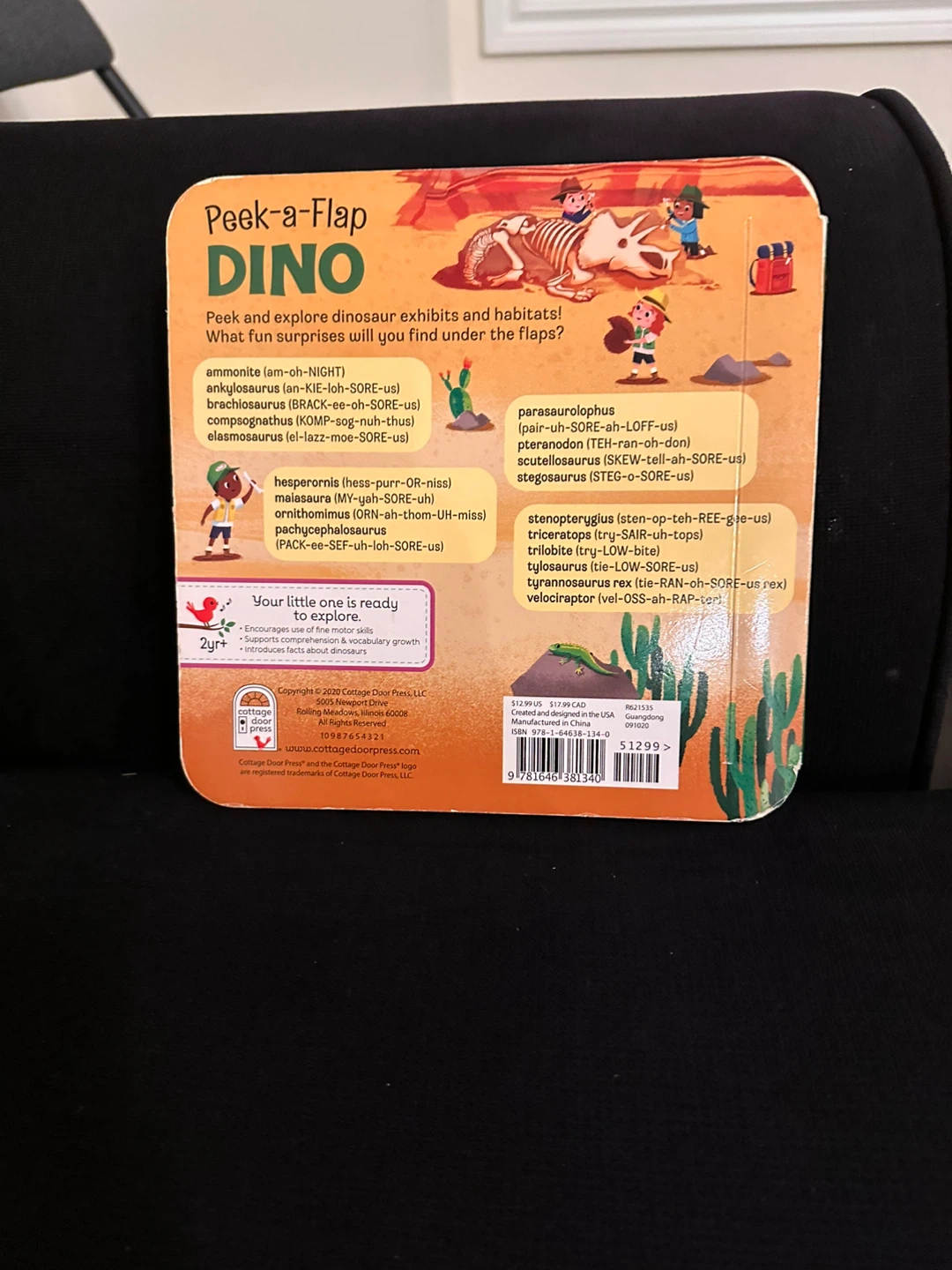 Peek-a-Flap DINO Book - Interactive! - photo 2