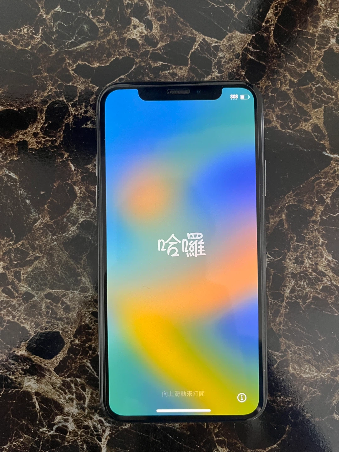 Apple iPhone X - photo 2
