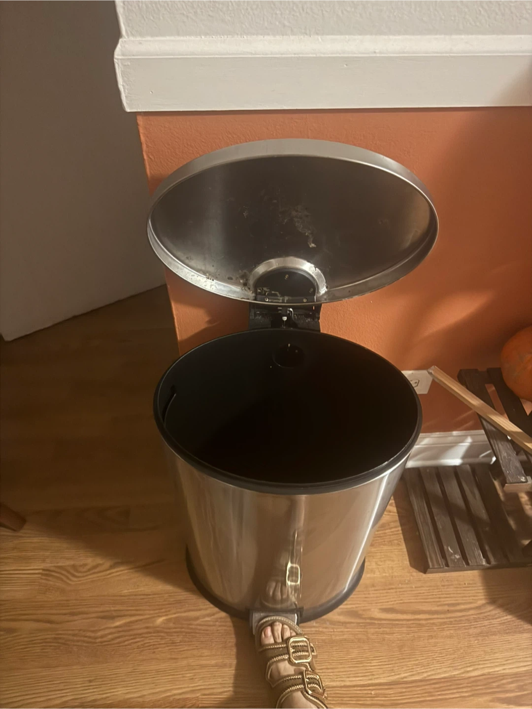 Stainless Steel Trash Can - photo 4
