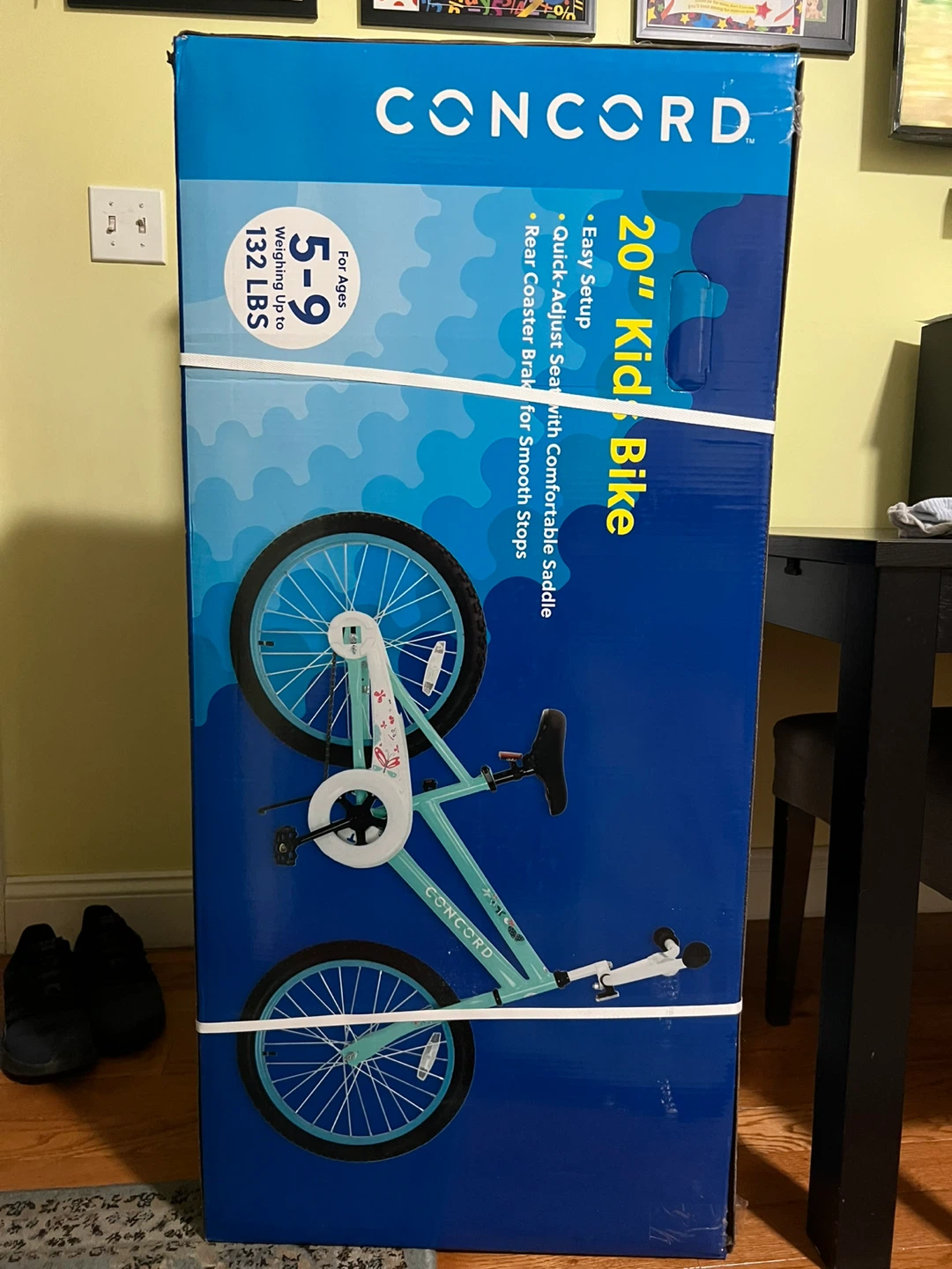 CONCORD 20" Kids Bike - Ages 5-9