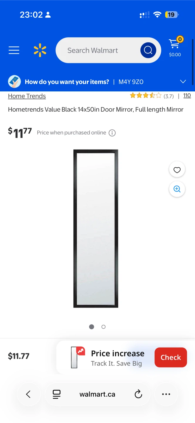 Hometrends Black Door Mirror 14x50in