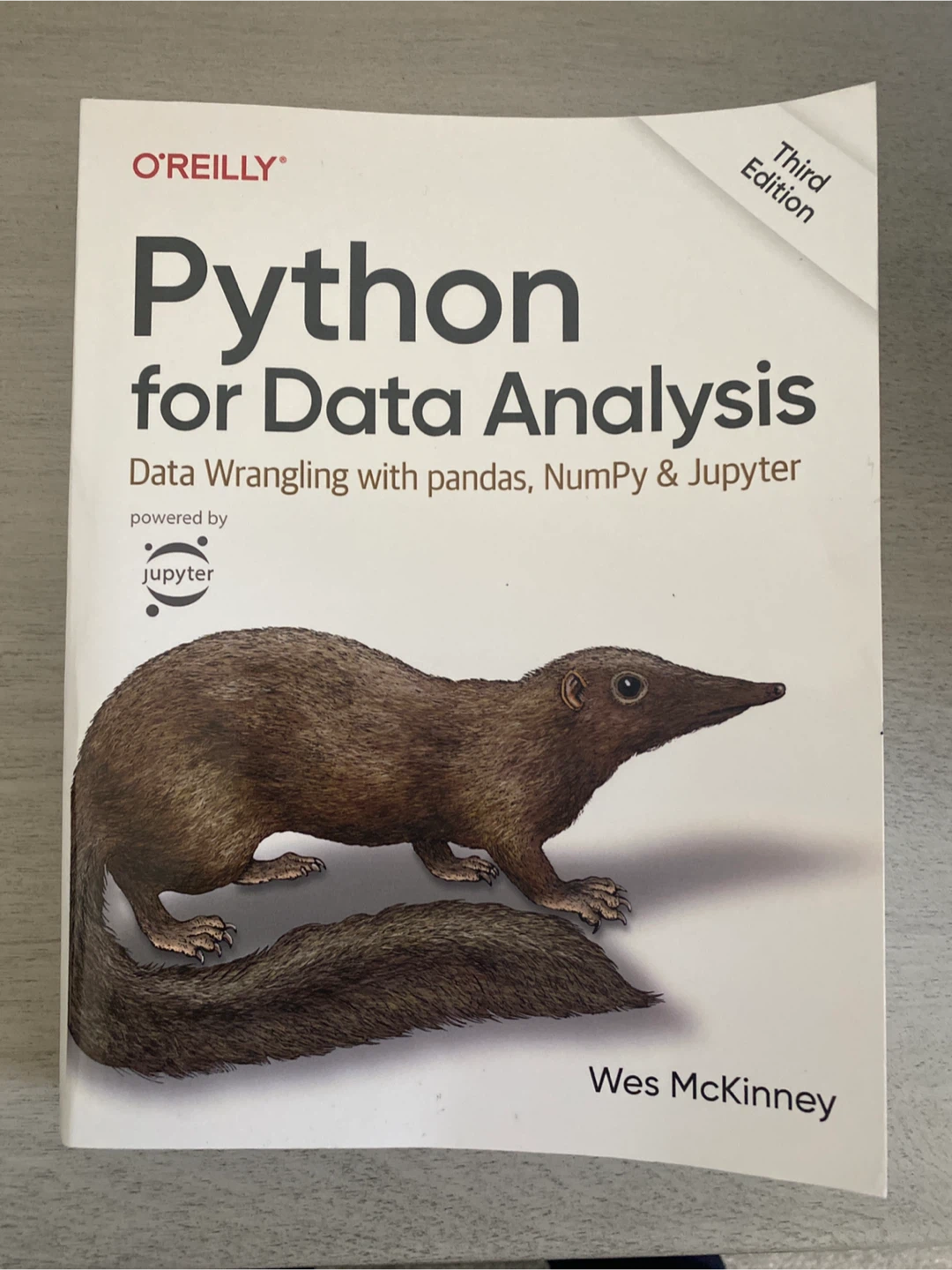 Python for Data Analysis by Wes McKinney