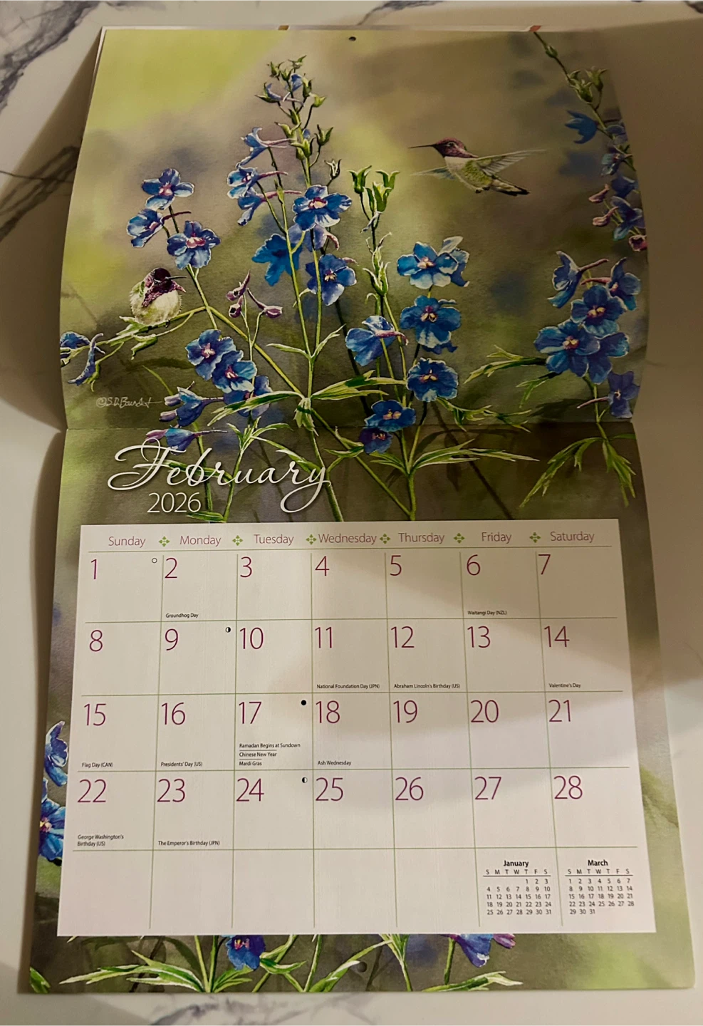 LANG Hummingbirds 2026 Calendar - New! - photo 5