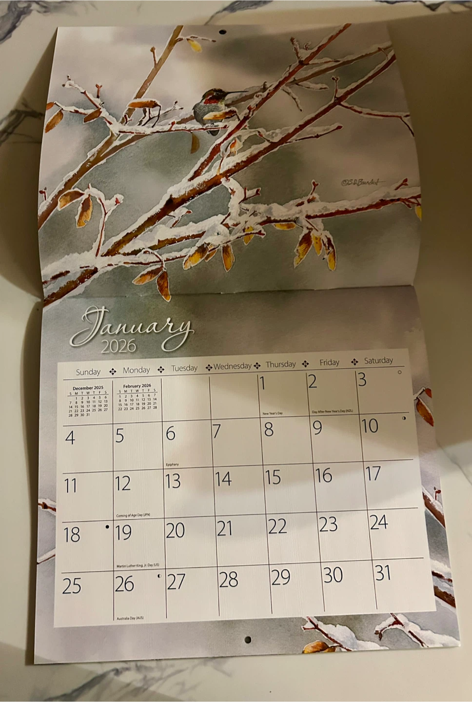 LANG Hummingbirds 2026 Calendar - New! - photo 4