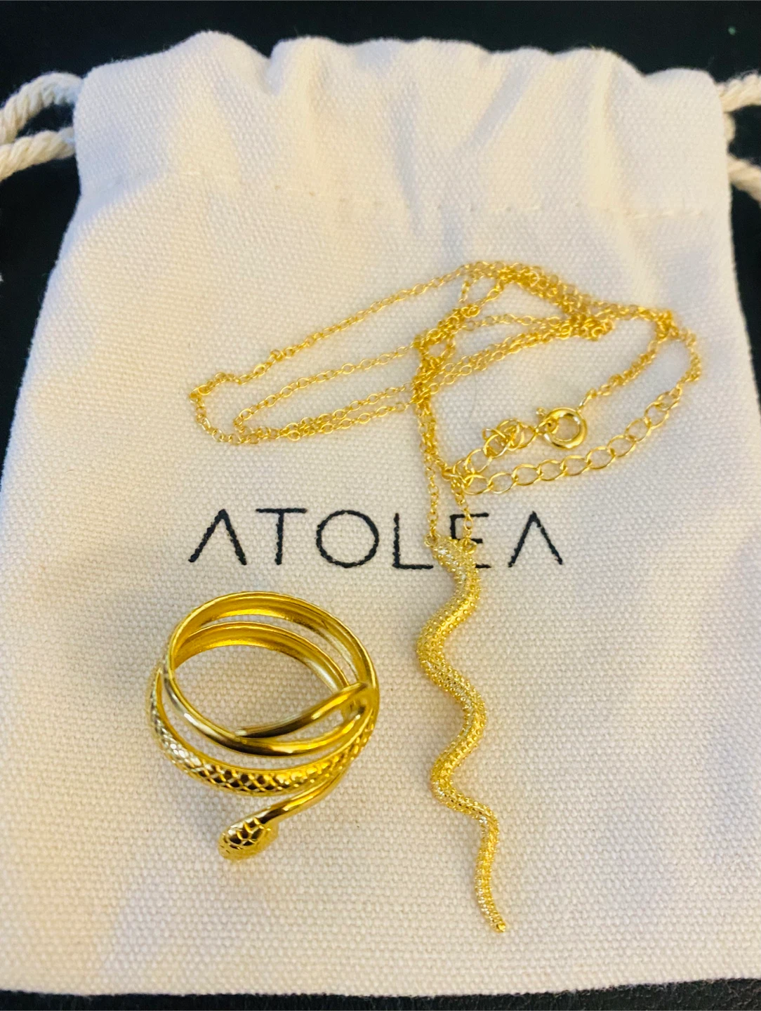 ATOLEA Gold Snake Ring & Necklace Set