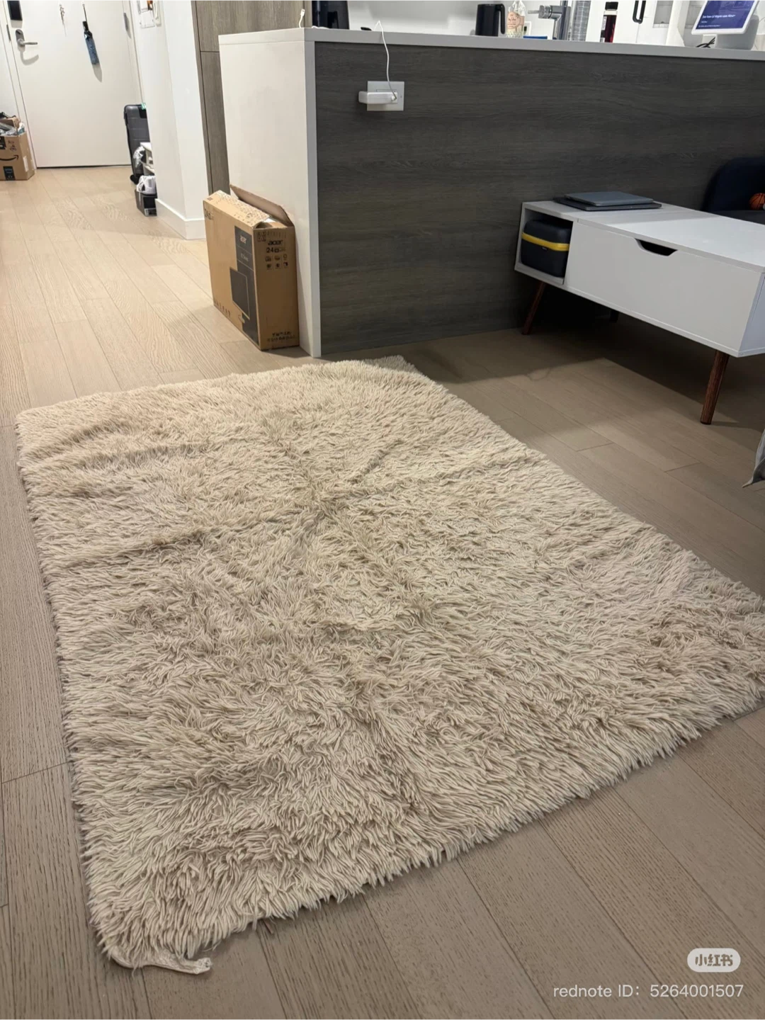 Beige Rug