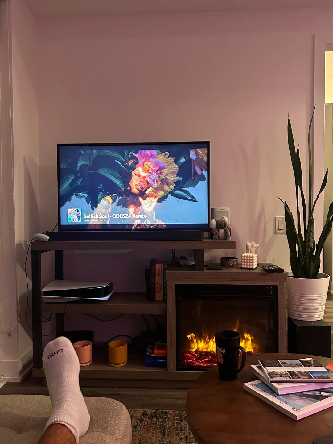 TV Unit w/ Built-In Electronic Fireplace