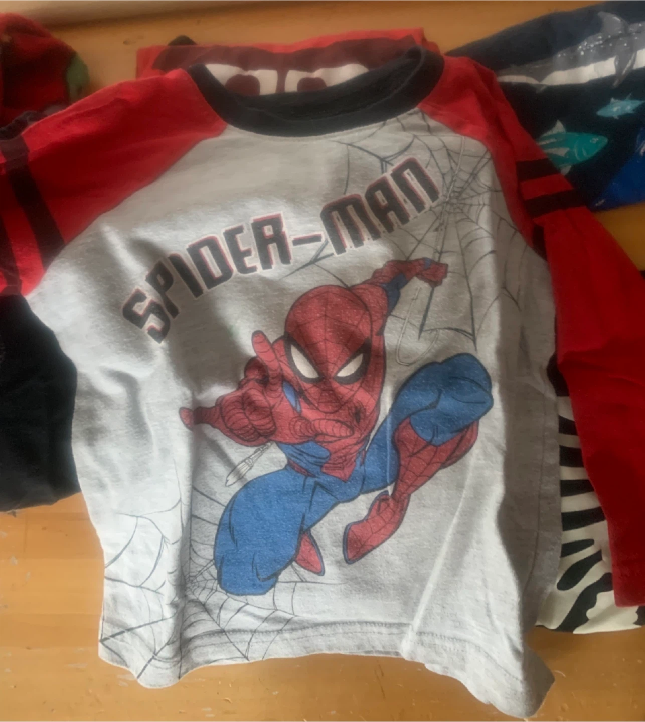 Bundle- Boys’ 10 Shirts and a Dino fleece set- Mixed Lot size 3 - photo 4