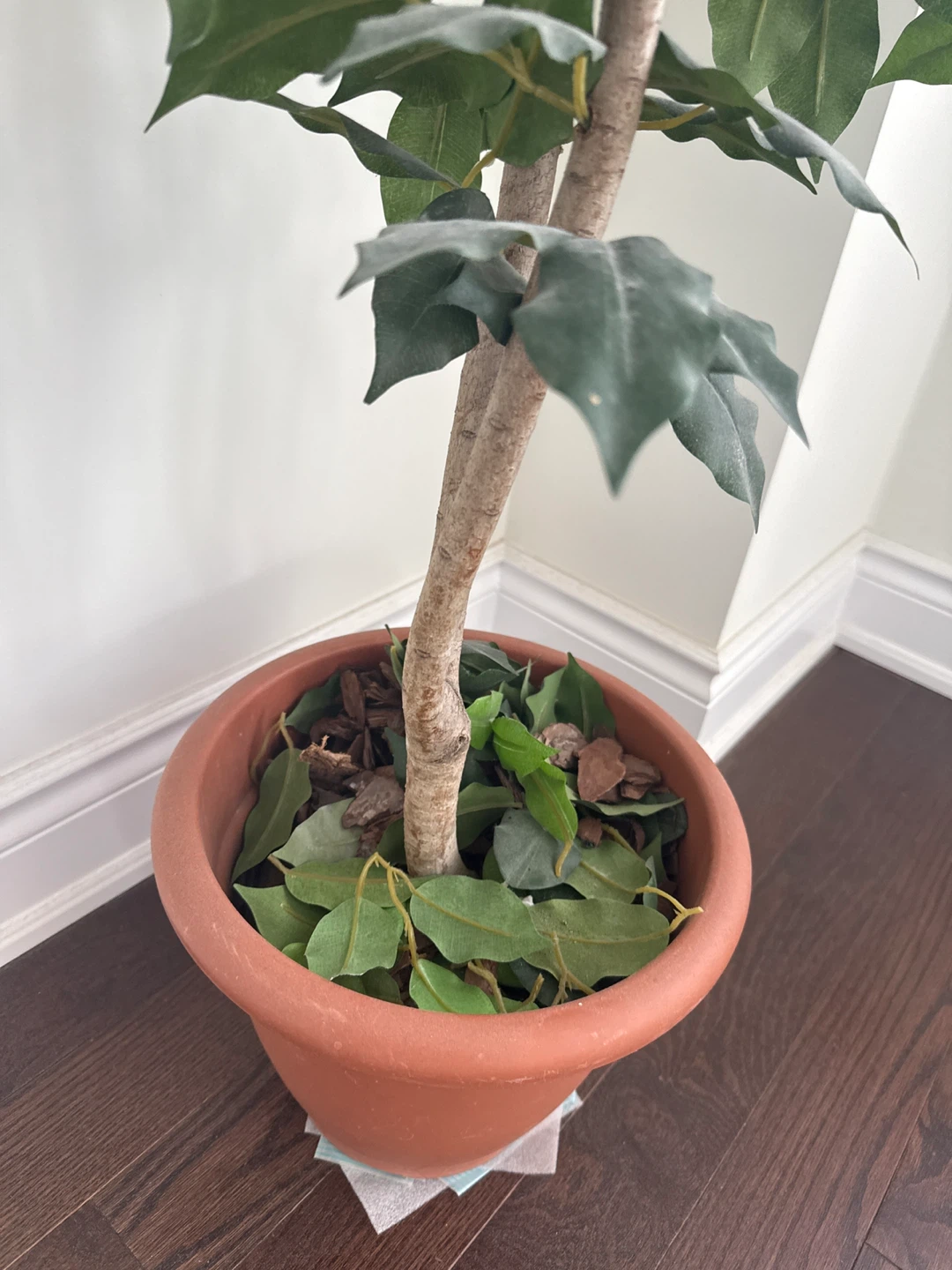 Faux Ficus Tree in Pot - photo 2