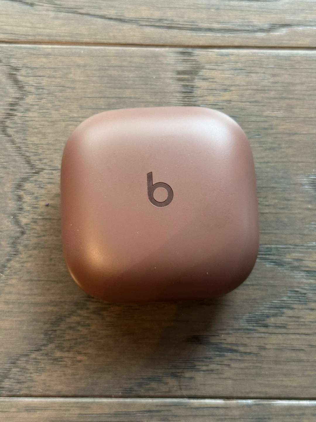 Beats X Kim Kardashian Fit Pro Earbuds Earth Color - photo 5