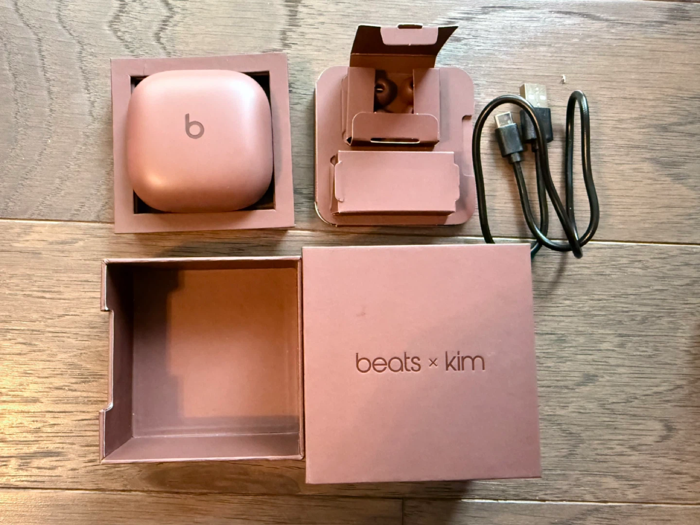 Beats X Kim Kardashian Fit Pro Earbuds Earth Color - photo 2