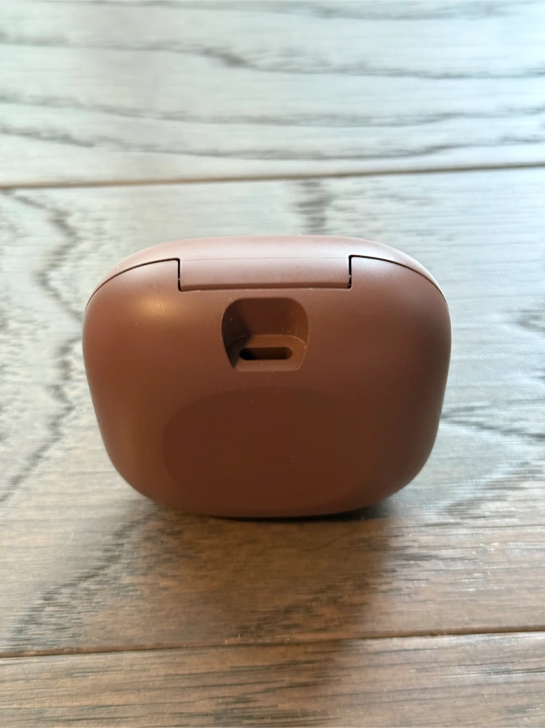 Beats X Kim Kardashian Fit Pro Earbuds Earth Color - photo 4