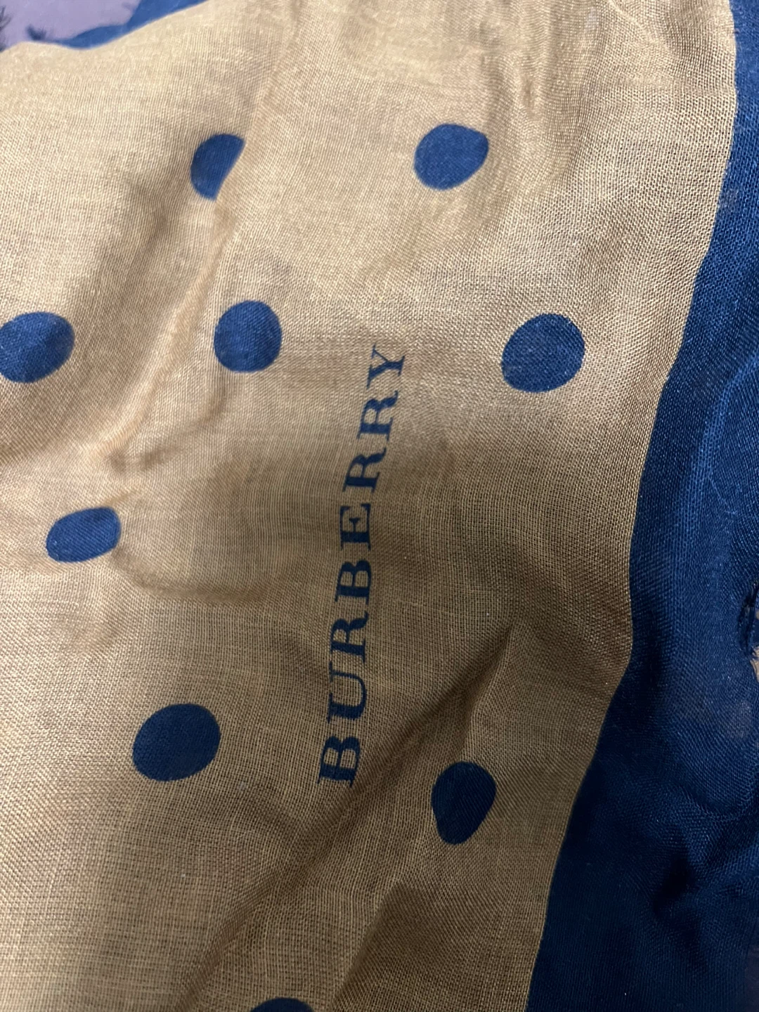Burberry Polka Dot Scarf - Navy & Beige - photo 4