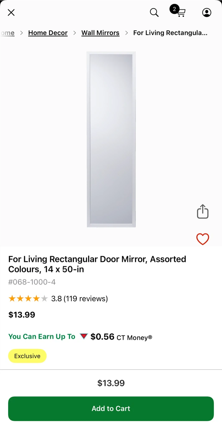 For Living Rectangular Door Mirror 14x50 inch - photo 3