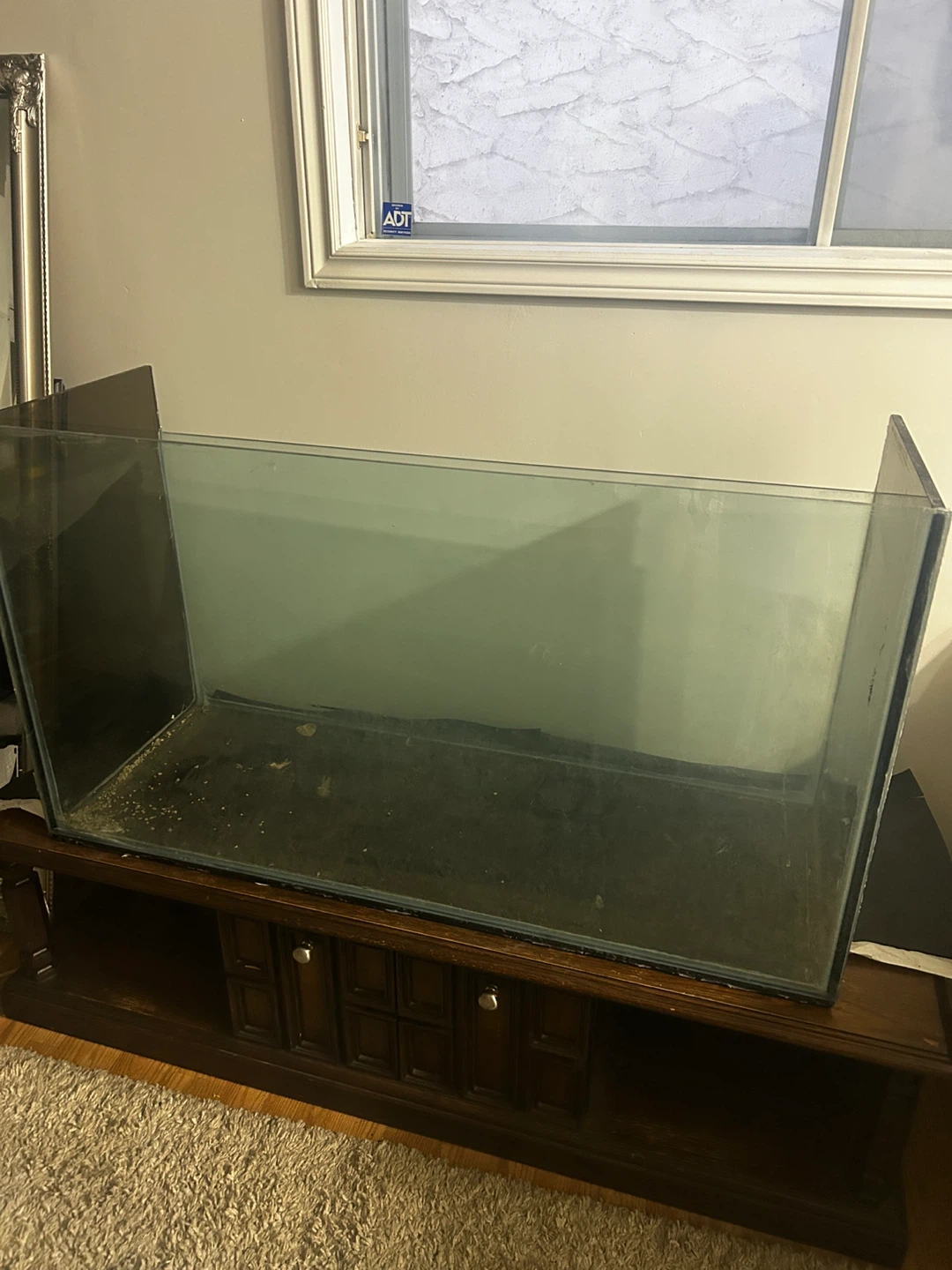 Glass Fish Tank