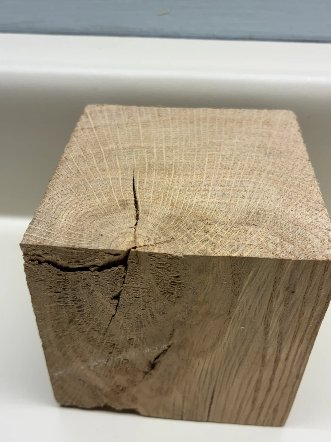 $3  Burl wood block weird grain paperweight NOT Firewood art