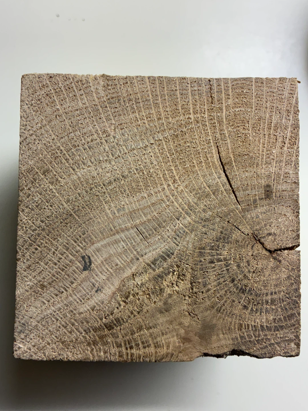 $3  Burl wood block weird grain paperweight NOT Firewood art - photo 4