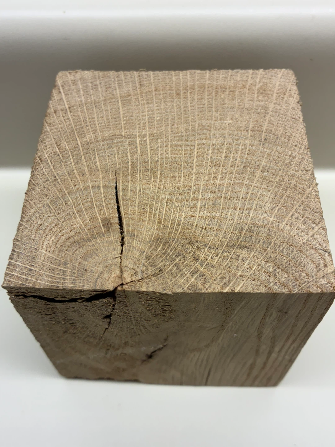 $3  Burl wood block weird grain paperweight NOT Firewood art - photo 2