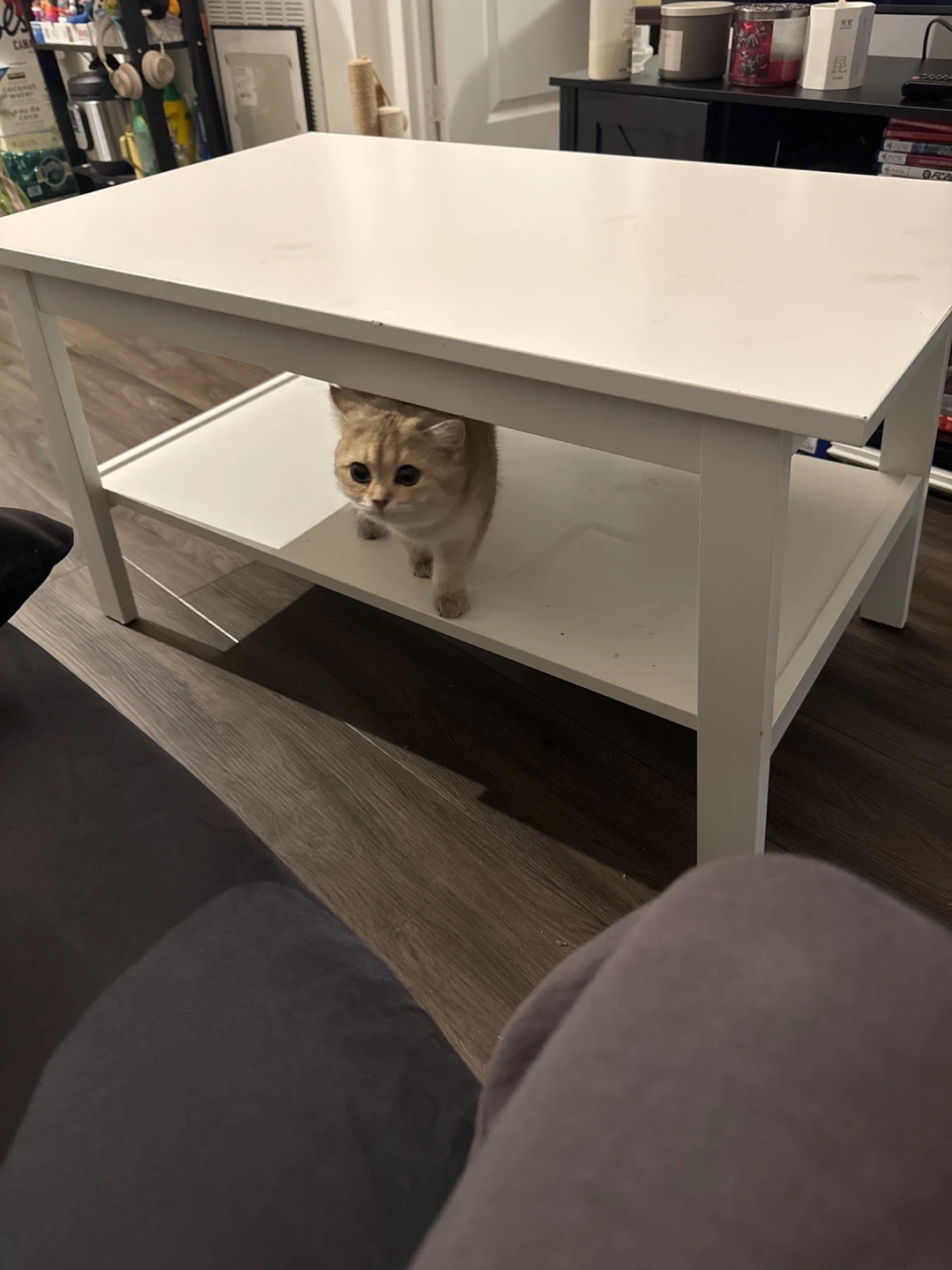 White Coffee Table with Shelf - photo 4