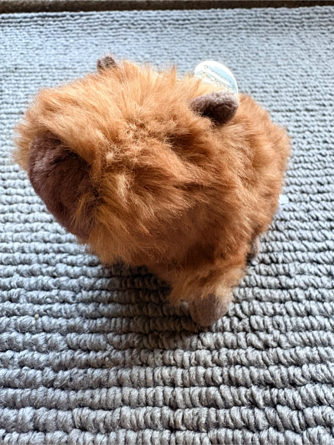 Jellycat Clyde Capybara Bag Charm