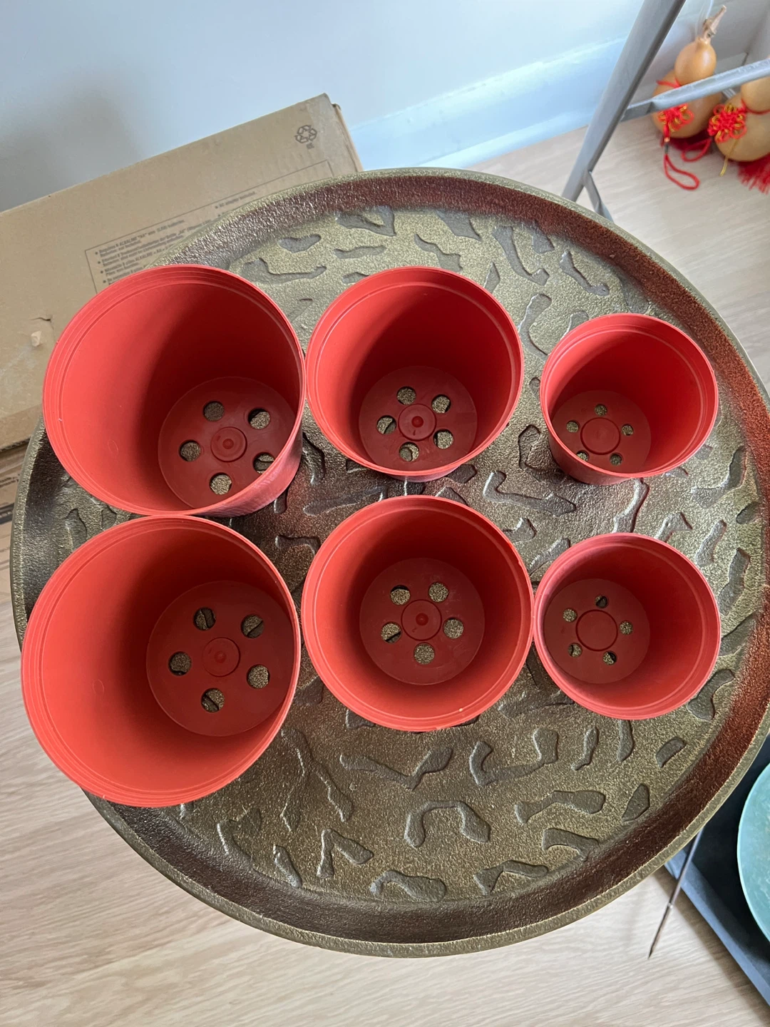 Plastic Plant Pots - Various Sizes - photo 3