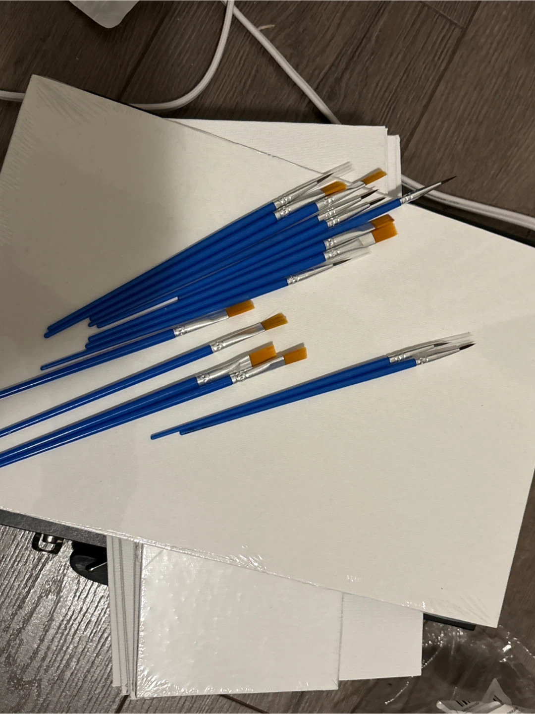 New Canvas Boards & Brushes - photo 5