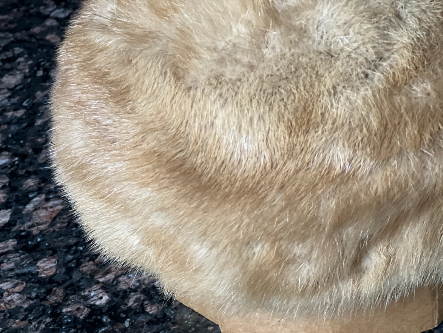 Vintage Mink Fur Hat - photo 5