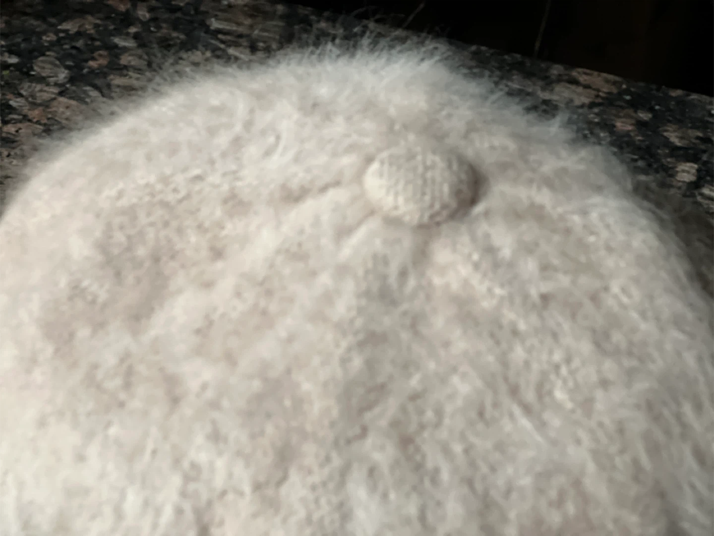 Angora Blend Newsboy Cap - photo 3