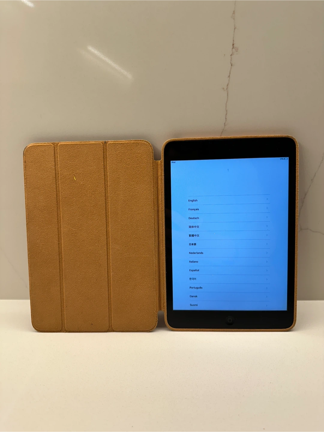 Apple iPad Mini with Cover