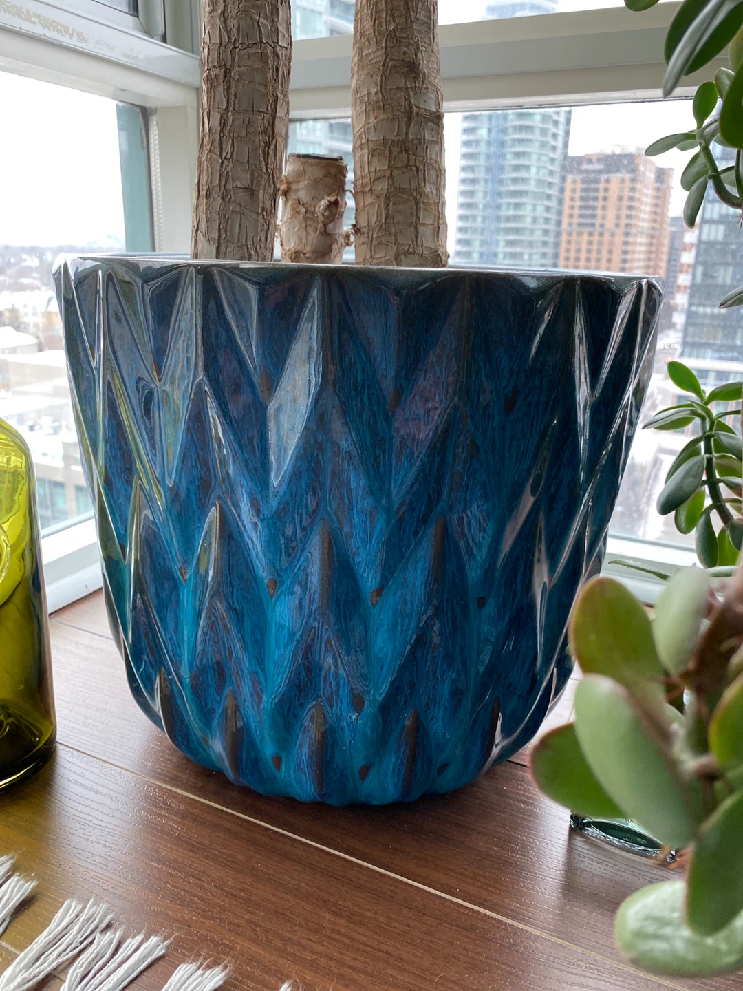 Potted Yucca Plant - photo 4