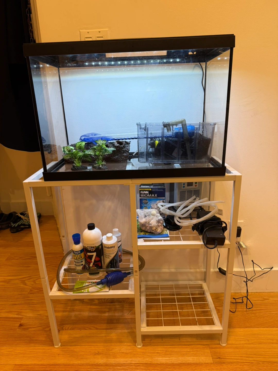Aquarium with Stand, Filter, and Accessories
