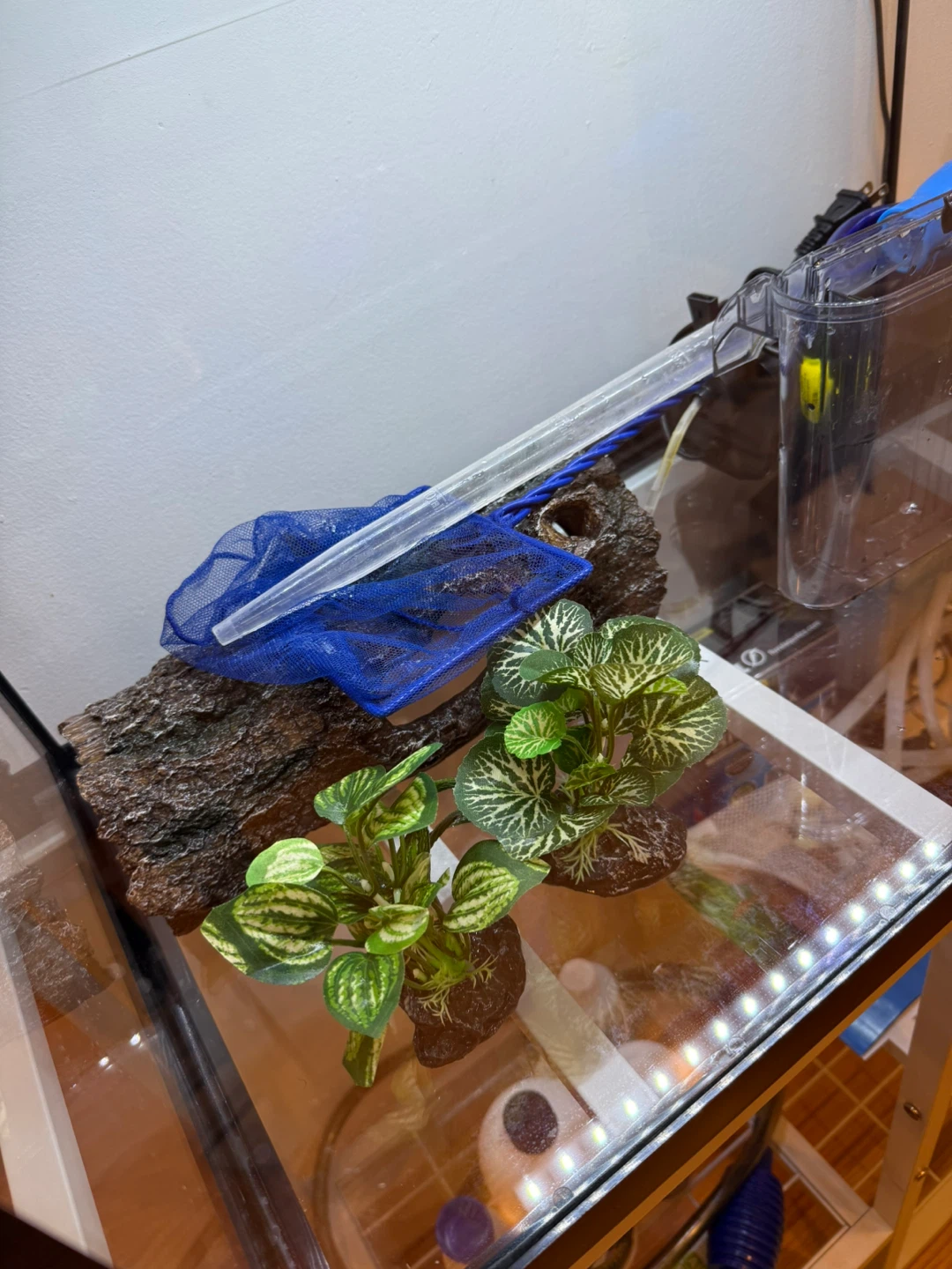 Aquarium with Stand, Filter, and Accessories - photo 2