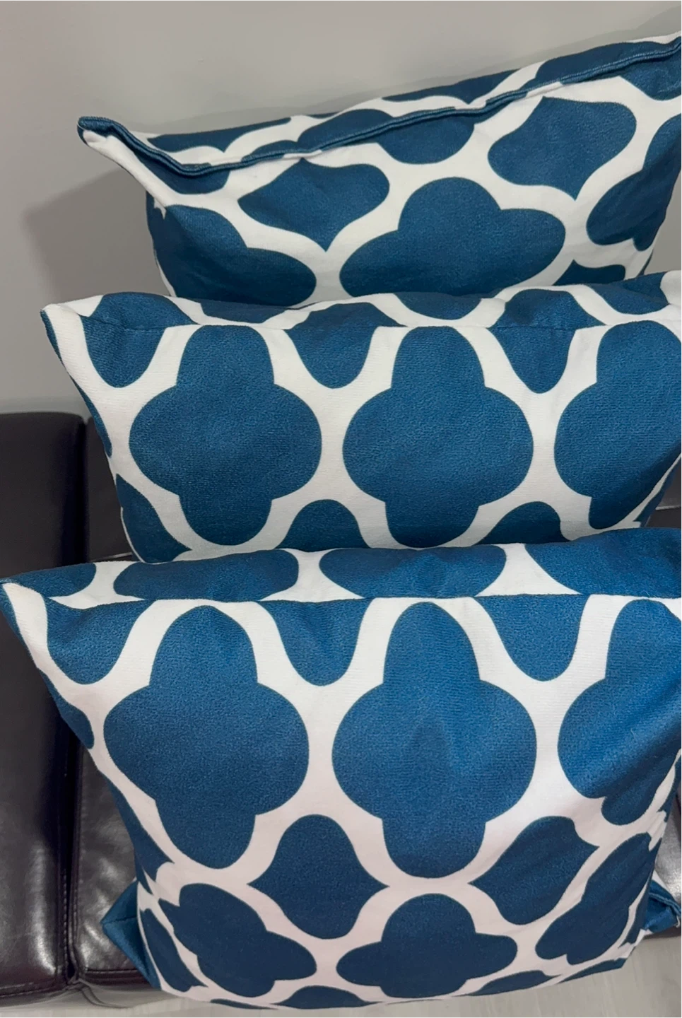 Blue and white Decorative Pillows (set of 3) and a throw