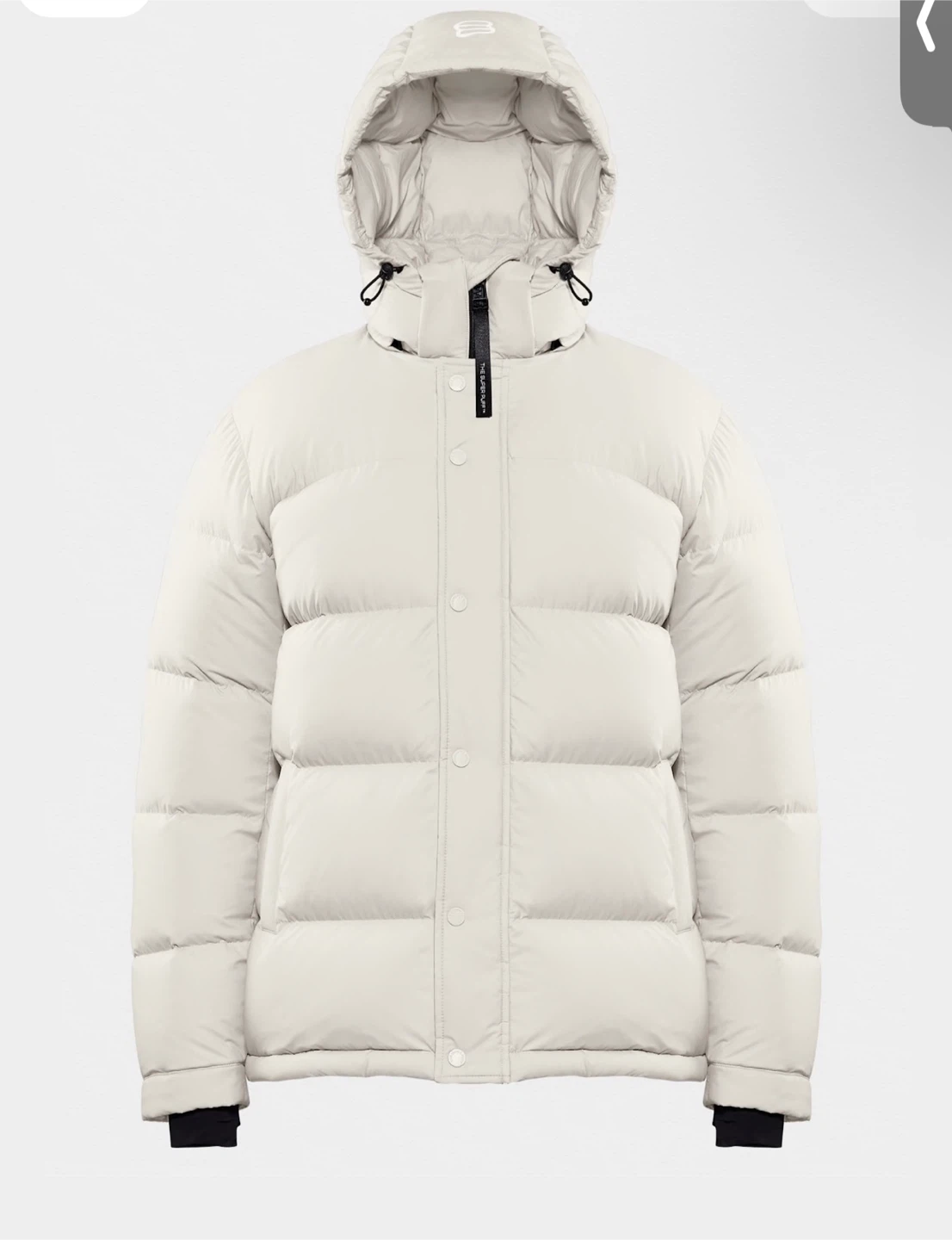 Aritzia Super Puff Cli MATTE in Matte Pearl Size Small