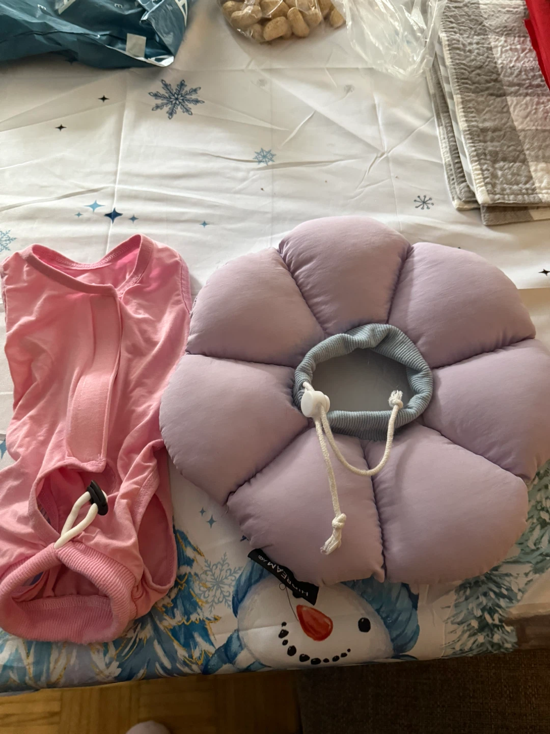 Pet Recovery Collar & Cat Onesies