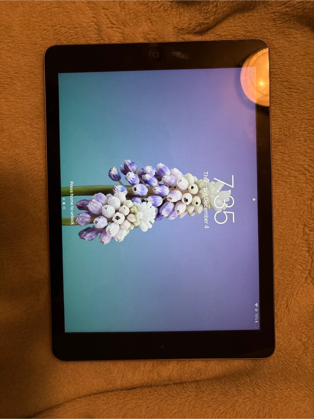 Apple iPad