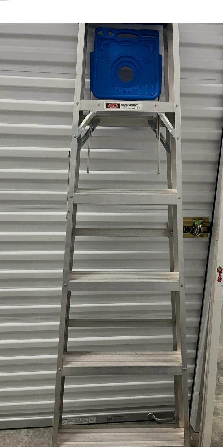Werner Aluminum Ladder with Blue Tool Tray