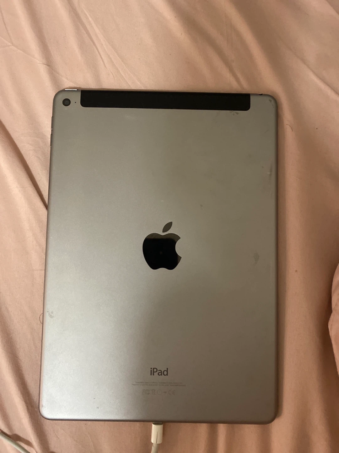 Apple iPad