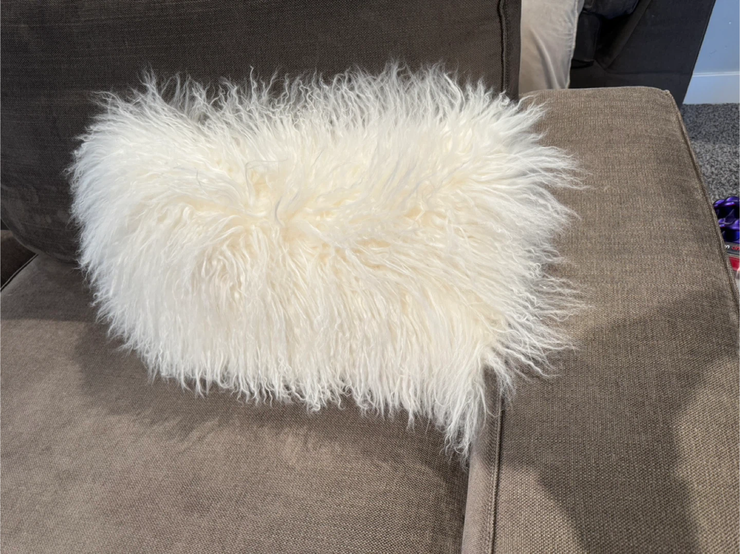 Fuzzy Throw Pillow