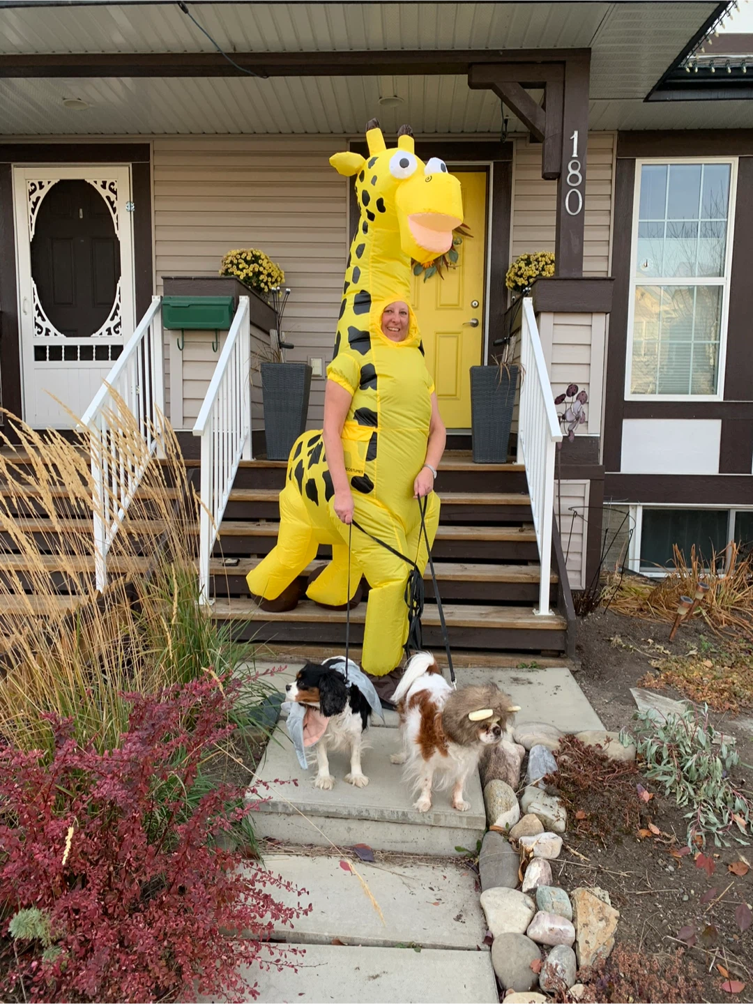 Inflatable Giraffe Costume - photo 2