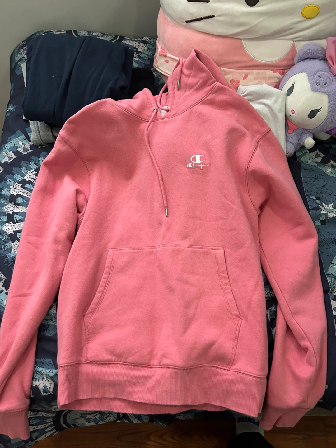 Champion Pink Hoodie
