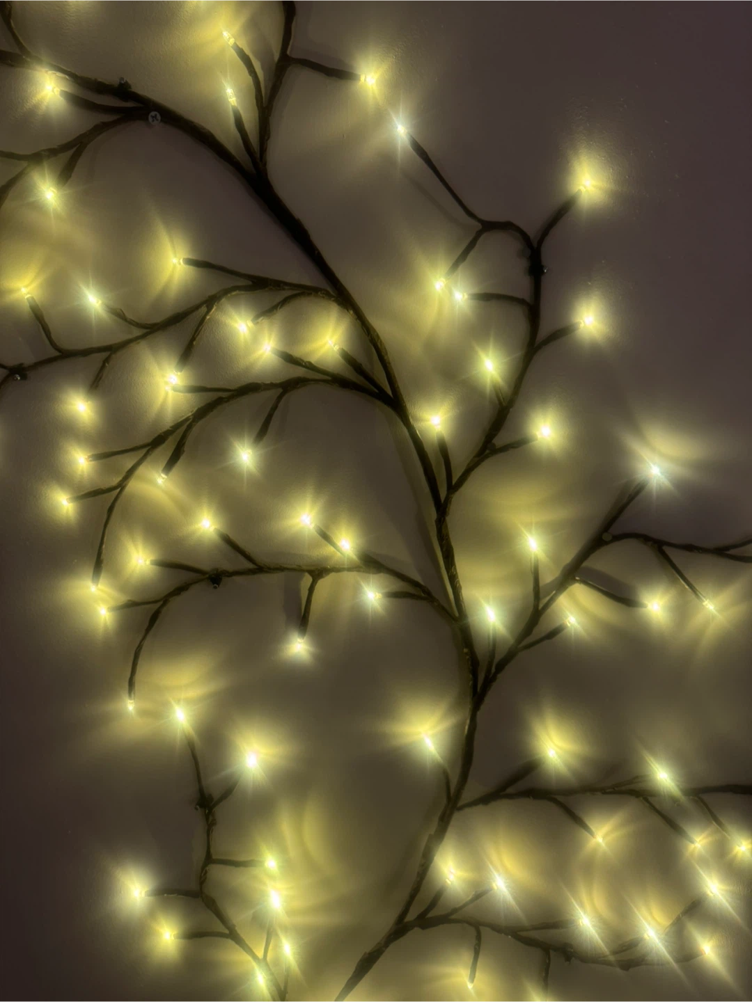 Branch LED Fairy String Lights - photo 2