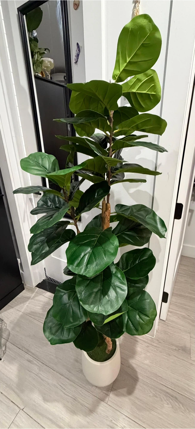 Fiddle Leaf Fig artificial Plant