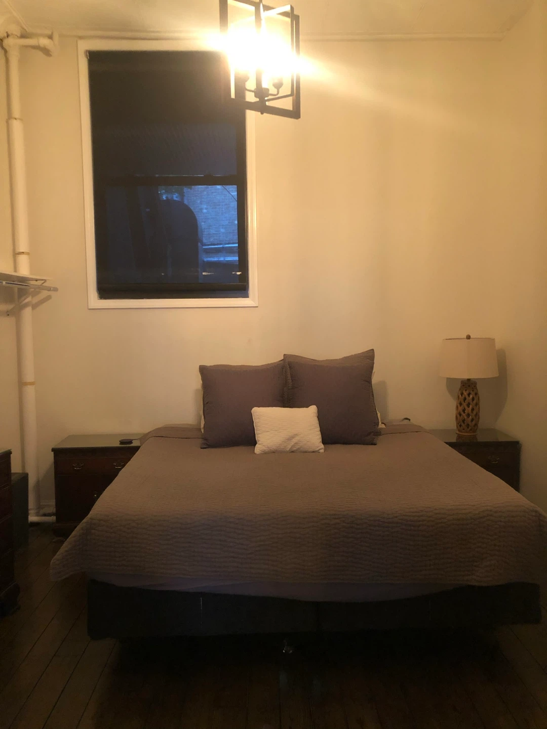 California King Pro Breeze Hybrid