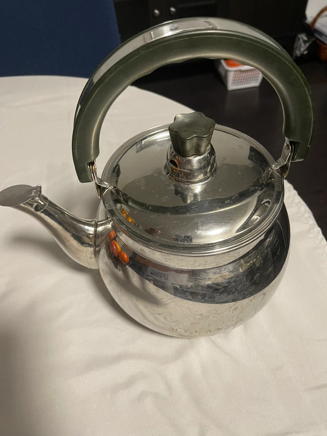 Stainless Steel Tea Kettle