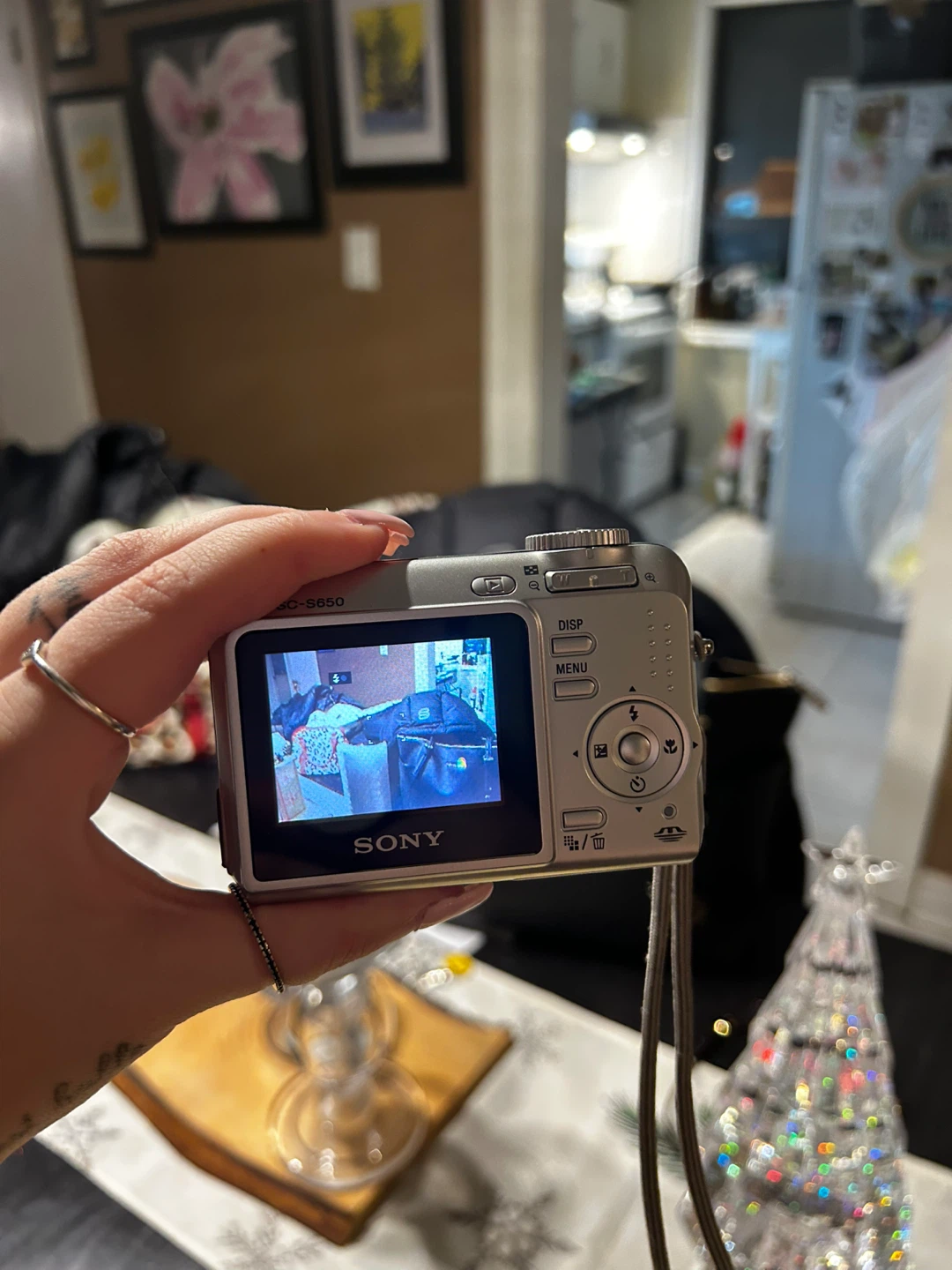 Sony Cyber-shot DSC-S650 Digital Camera - photo 4
