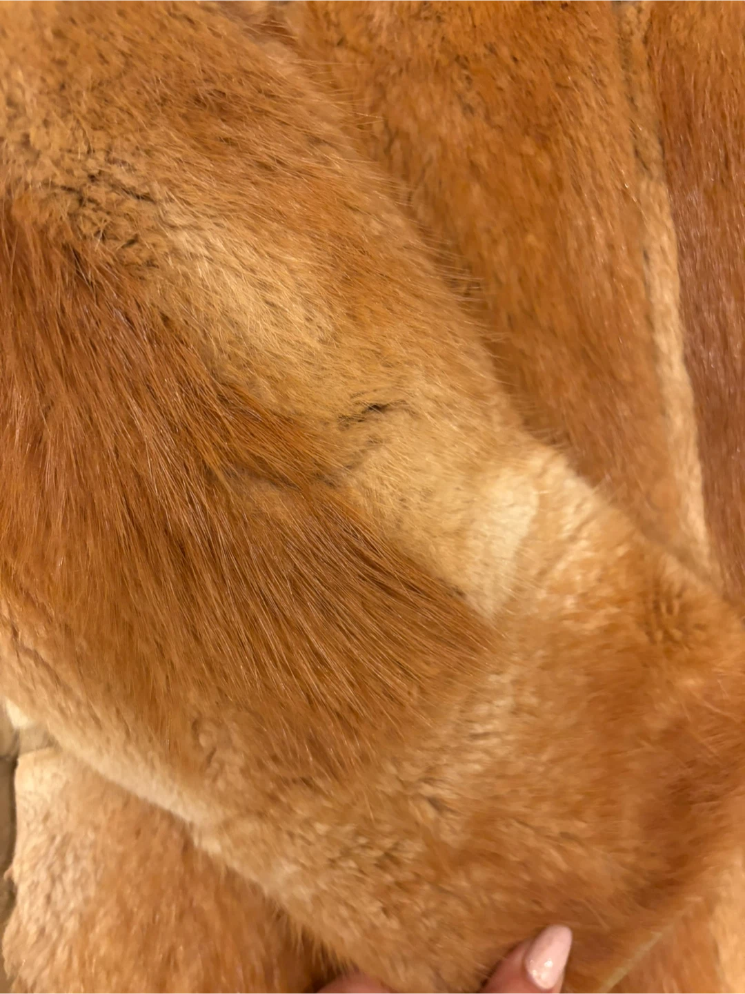 Fur and Leather Coat vintage - photo 3