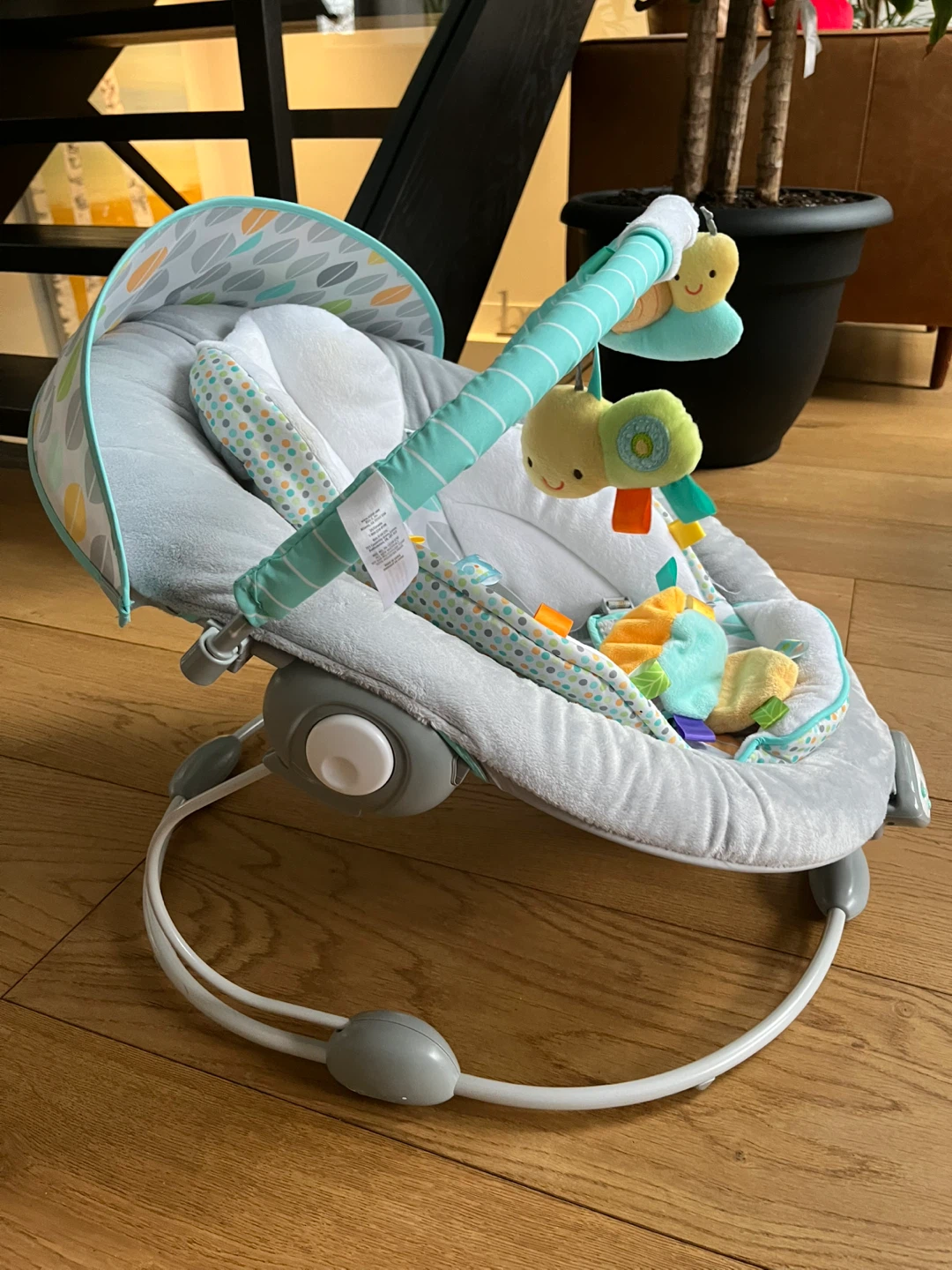 Taggies Soothing Bouncer - Great Condition!