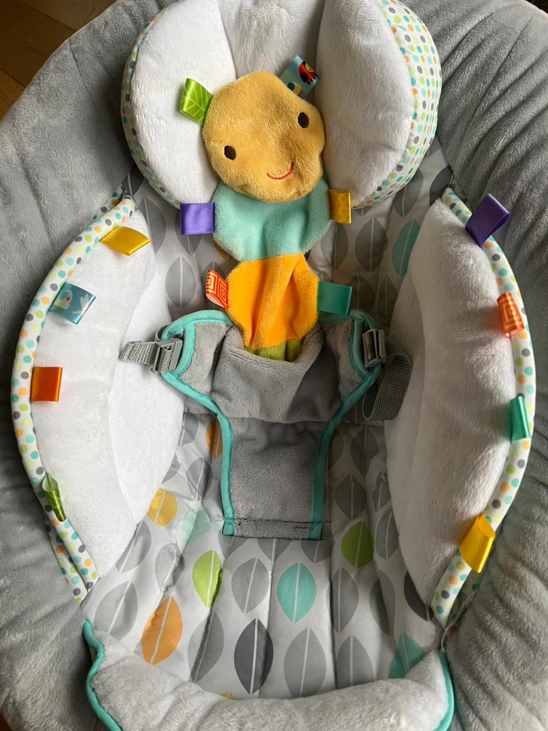 Taggies Soothing Bouncer - Great Condition! - photo 4