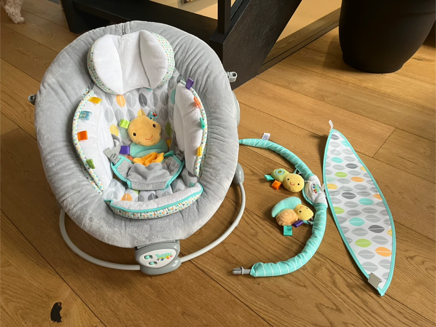 Taggies Soothing Bouncer - Great Condition! - photo 3